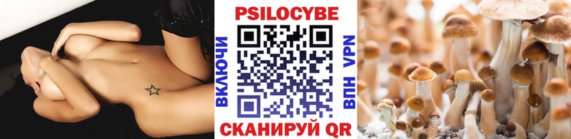 Псилоцибиновые грибы Psilocybine cubensis  закладка  Бор 